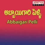 Abbaigari Pelli