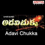 Adavi Chukka