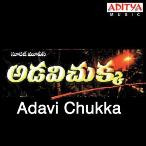 Adavi Chukka