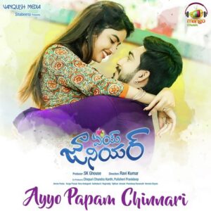 Ayyo Papam Chinnari (From "Aey Junior")