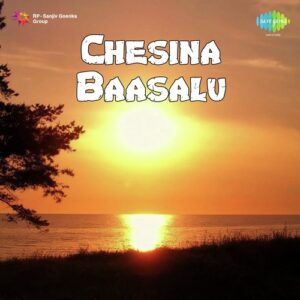 Chesina Baashalu