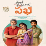 Good Luck Sakhi (2021)