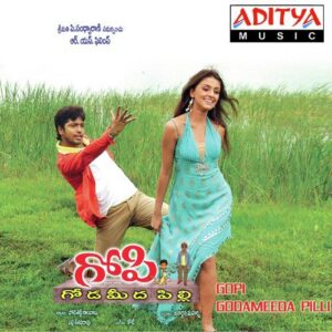 Gopi Goda Meeda Pilli