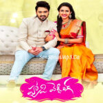 Happy Wedding (2018)