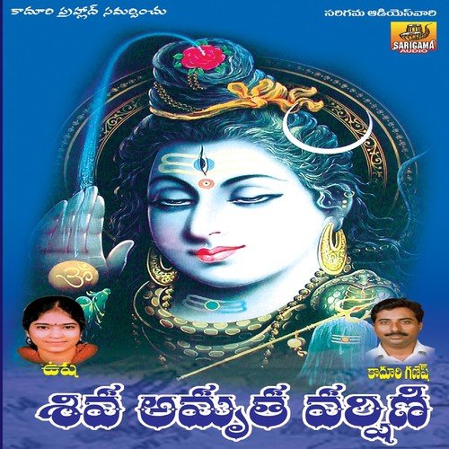 Hima Giri Paina Velasinavvu (Shiva Amrutha Varshini)