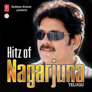 Hitz Of Nagarjuna