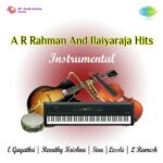 Instrumental - A R Rahman And Ilaiyaraja Hits