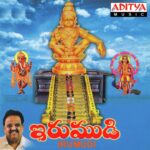 Irumudi