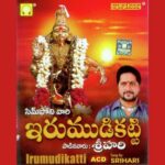 Irumudikatti