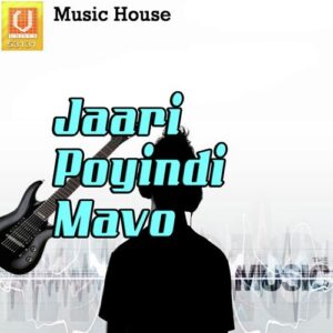 Jaari Poyindi Mavo