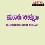 Jameendaru Gari Ammayi