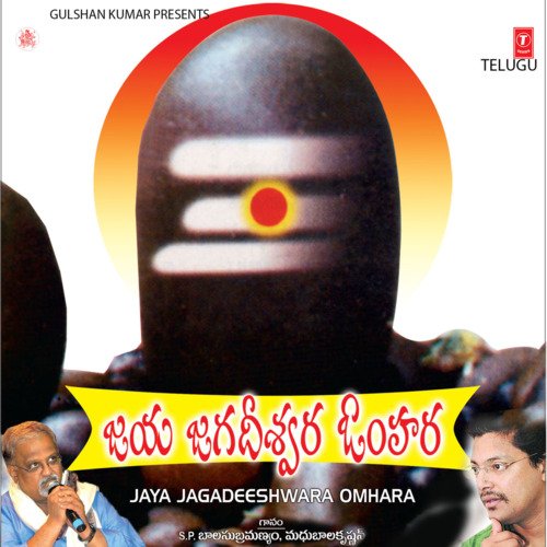 Kailasavasa Maheshwaraya Namahsivaaya Om – Dhun