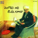 Melodies Of T. V. Raju