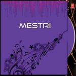 Mestri