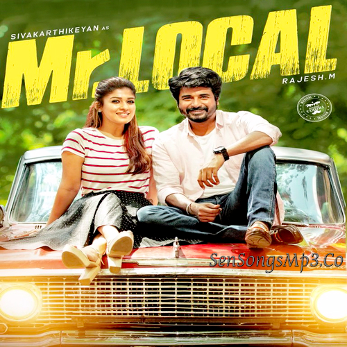 Mr.Local Theme
