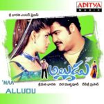 Naa Alludu