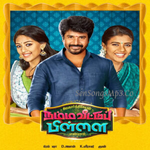 Namma Veettu Pillai (2019)