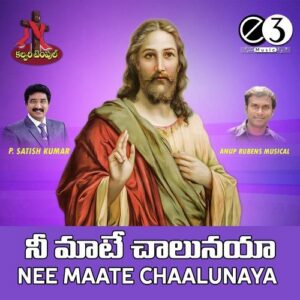 Nee Maate Chaalunaya