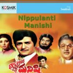 Nippulanti Manishi