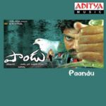 Paandu