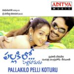 Pallakilo Pelli Koturu