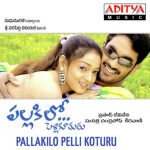 Pallakilo Pelli Koturu
