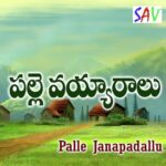 Palle Vayarallu