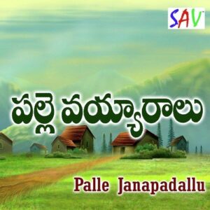Palle Vayarallu