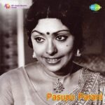 Pasupu Parani