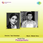 Peddharikaalu