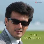 Pelli Kudirindi