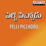 Pelli Picchodu