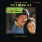 Pellikanuka