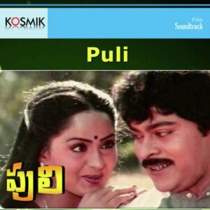 Puli