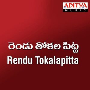 Rendu Tokala Pitta
