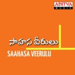 Saahasa Veerulu
