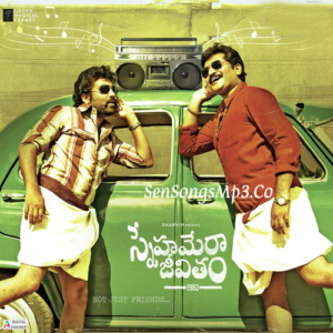 Snehamera Jeevitham (2017)