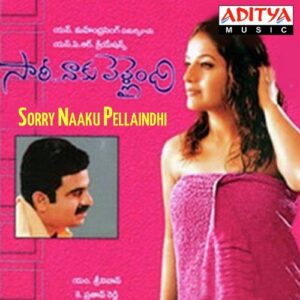 Sorry Naaku Pellaindhi
