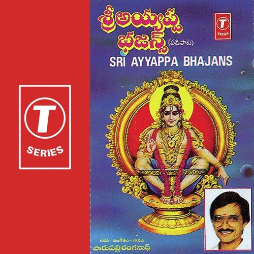 Bahgavaan Saranam
