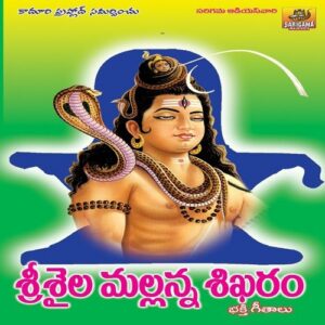 Srisaila Vasudavo
