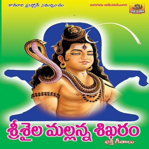 Srisaila Vasudavo