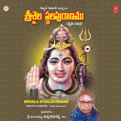Srisaila Kshetra Pramukyam, Sakshi Ganapathi, Hatakeswaram…Paataalaganga Udbavam, Paaladhara Panchadhara, Silaadhuni Vruthantham