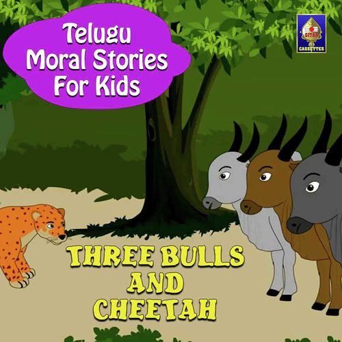 Three Bulls And Cheetah