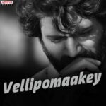 Vellipomaakey