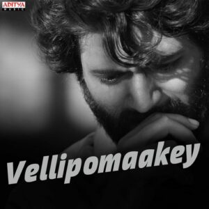 Vellipomaakey