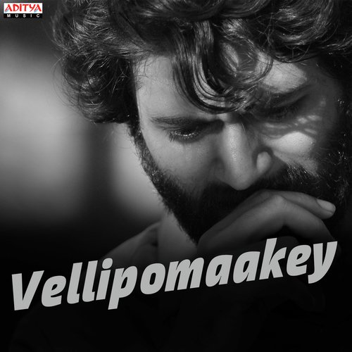 Oosupodu (From “Fidaa”)