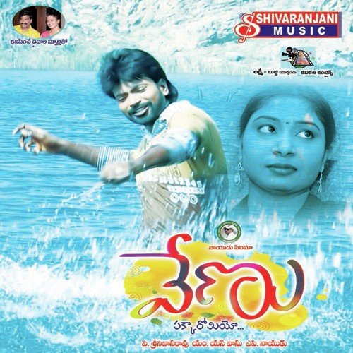 Nee Cheti Raata
