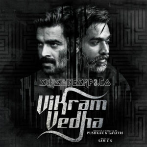 Vikram Vedha (2017)