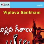 Viplava Sankham