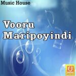 Vooru Maripoyindi
